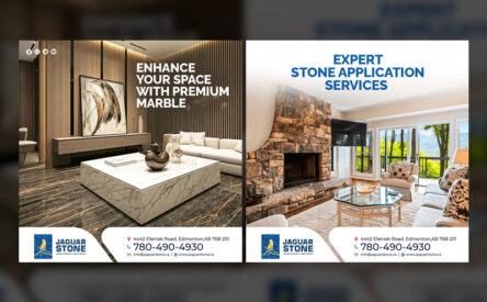 800x553 jaguar stone 01.jpg