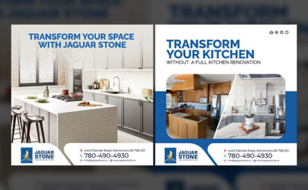 800x553 jaguar stone 02.jpg